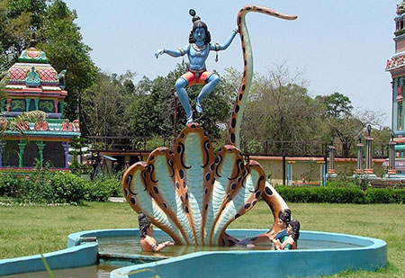 Enchanting Lord Krishna's statue at Mandir